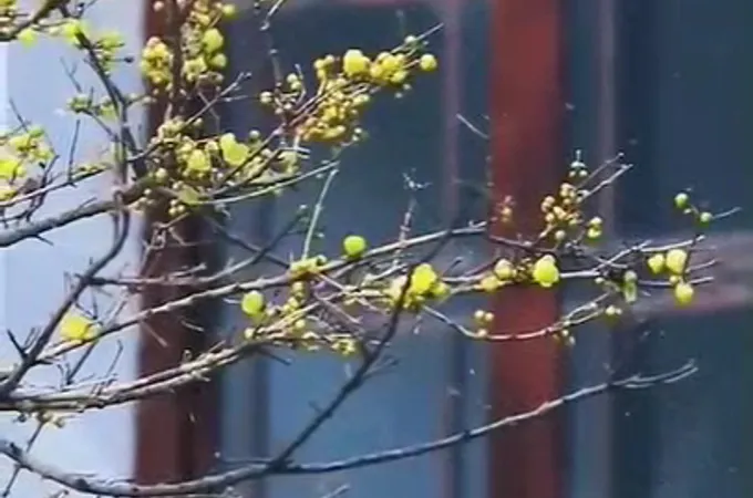 三元中醫診所 照片