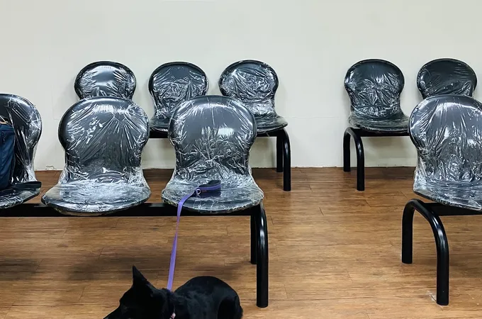 鈺晟中醫診所 照片 5