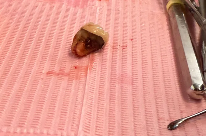 高牙醫診所 照片 8