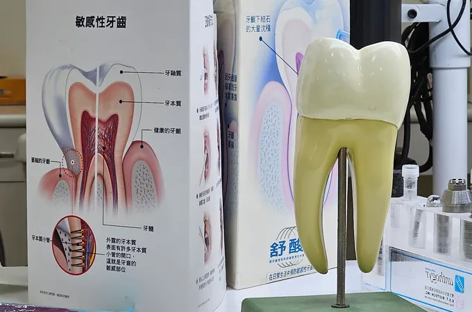 采悅牙醫診所 照片 8