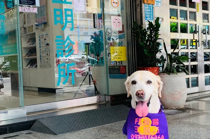 蘆洲立民診所 照片 2