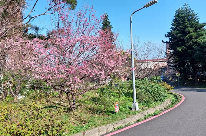 衛生福利部八里療養院 照片 3