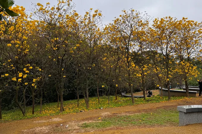衛生福利部八里療養院 照片 5