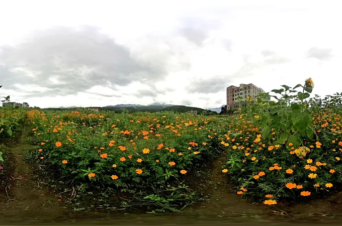 國立臺灣大學醫學院附設醫院金山分院 照片