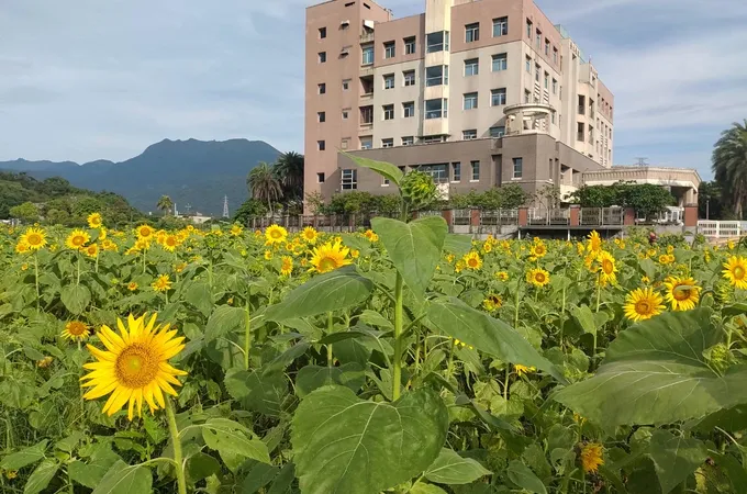 國立臺灣大學醫學院附設醫院金山分院 照片