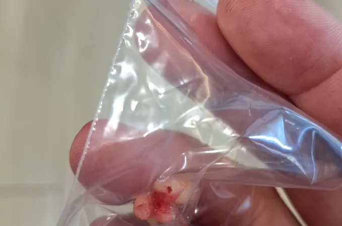 欣恩牙醫診所 照片 5