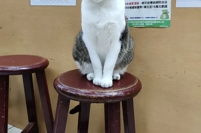 重慶堂中醫診所 照片 3