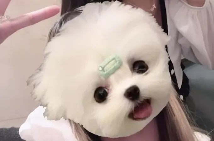 我家診所 照片 5