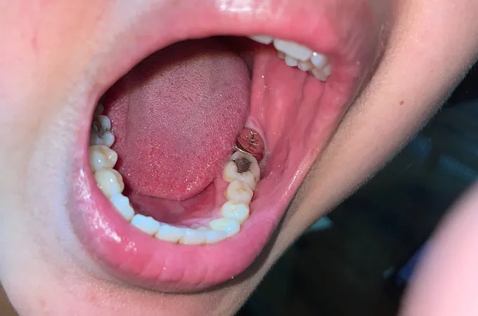 饒正美牙醫診所 照片 7