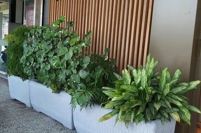 信惠中醫診所 照片 6