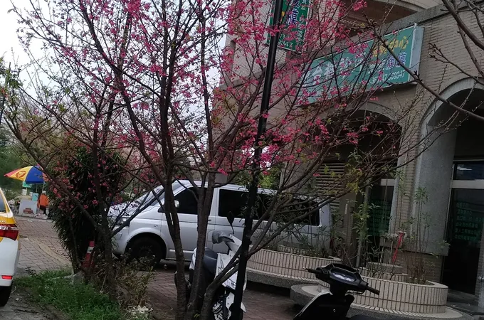 台糖診所 照片