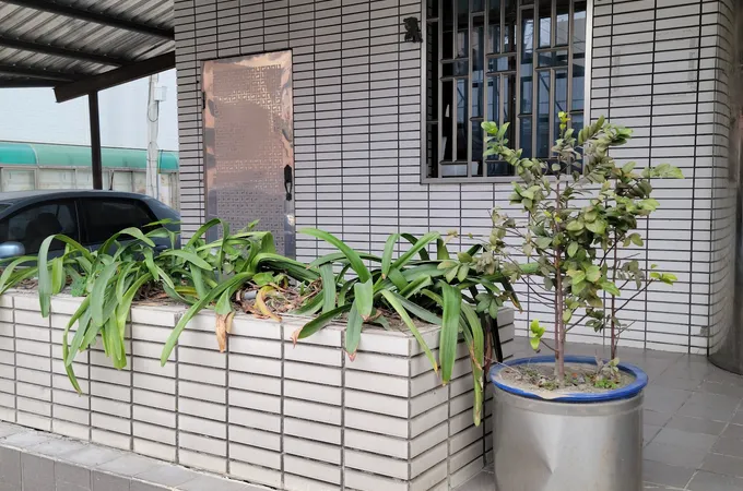 林苗婦產科診所 照片 5