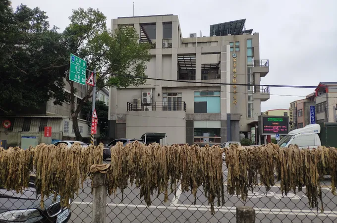 苗栗縣造橋鄉衛生所 照片