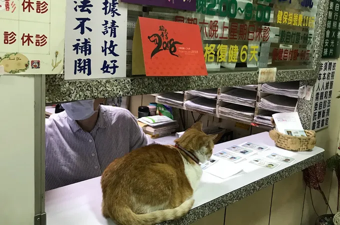 李武波診所 照片