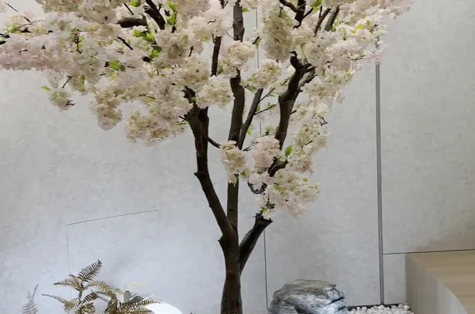 愛佳牙醫診所 照片