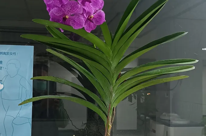 正芳牙醫診所 照片