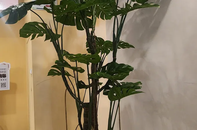 黃稚晴診所 照片