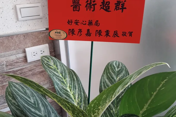 普仁中醫診所 照片 2