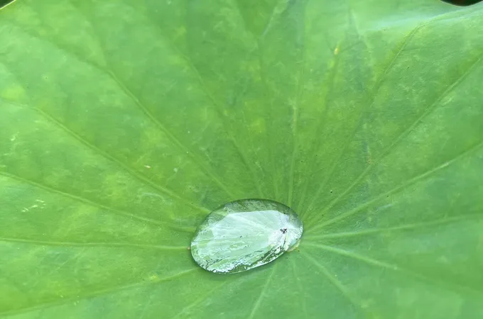 杏哲診所 照片