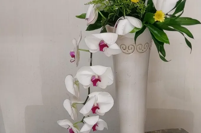 聰仁診所 照片