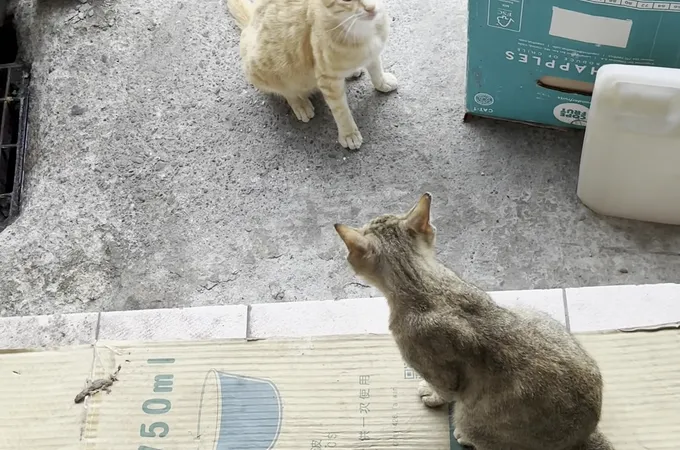 正麒牙醫診所 照片