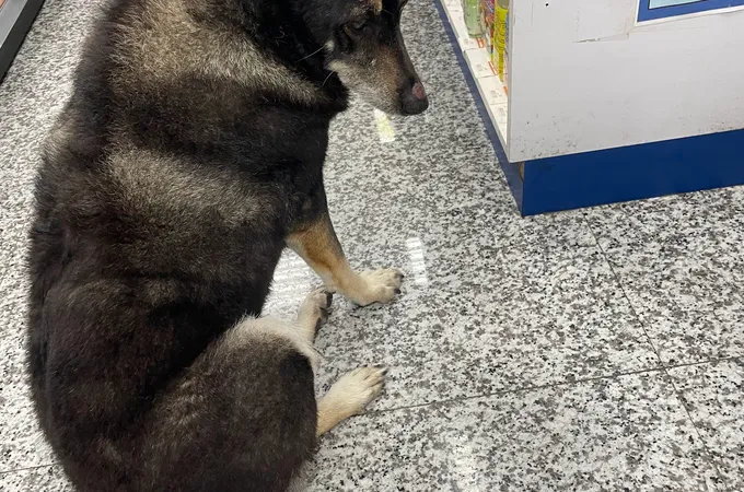 蔡長禧診所 照片