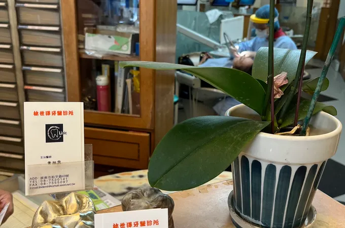 世豐牙醫診所 照片 4