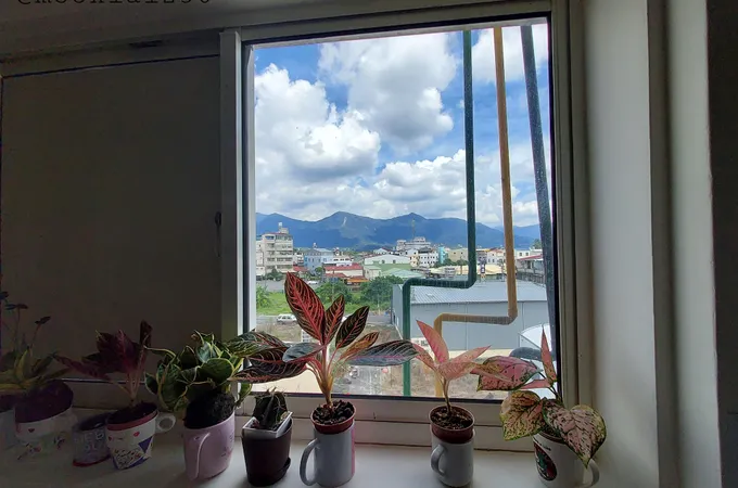 春安堂中醫診所 照片