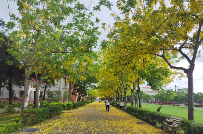 何仁村診所 照片 2