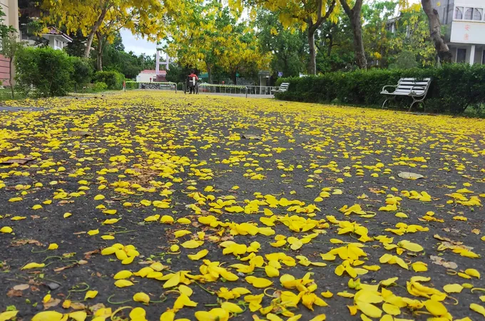 何仁村診所 照片 3