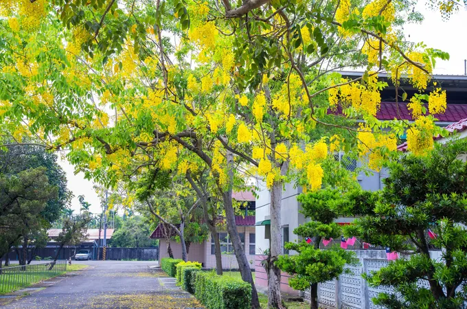 何仁村診所 照片 5