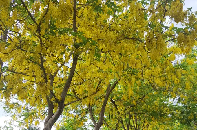 何仁村診所 照片 7