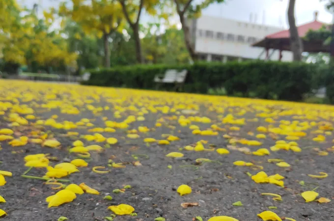 何仁村診所 照片 8