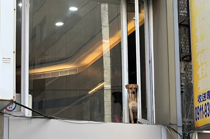 聖偉牙醫診所 照片