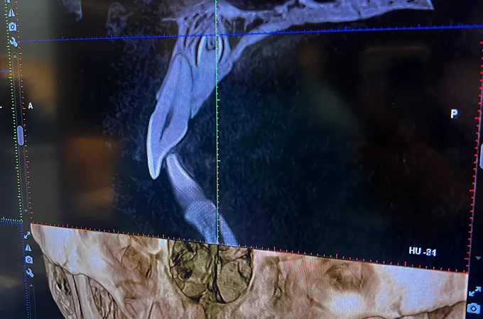 敬偉牙醫診所 照片 4