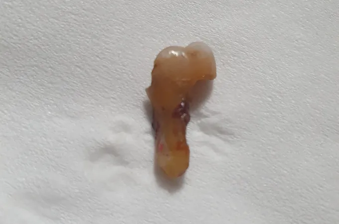 世安牙醫診所 照片