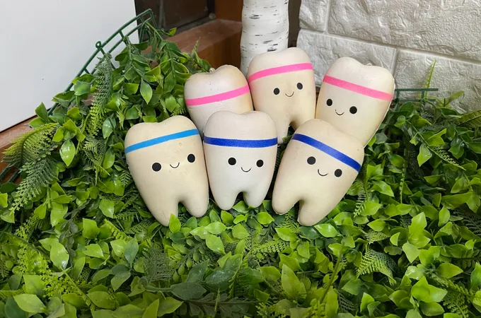 阿波羅牙醫診所 照片 3