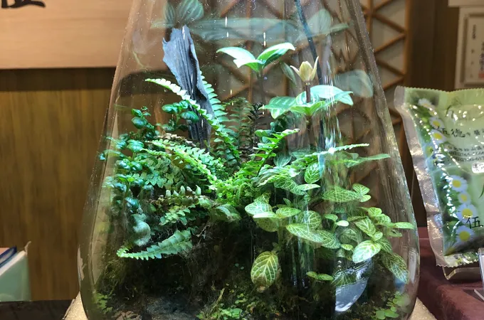 伍德中醫診所 照片 10