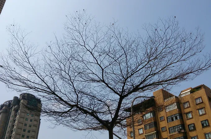 景福眼科診所 照片 7