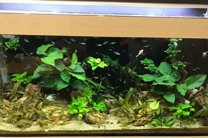 正豐牙醫診所 照片 4