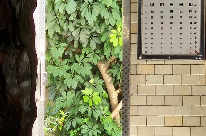 楊外科婦產科診所 照片