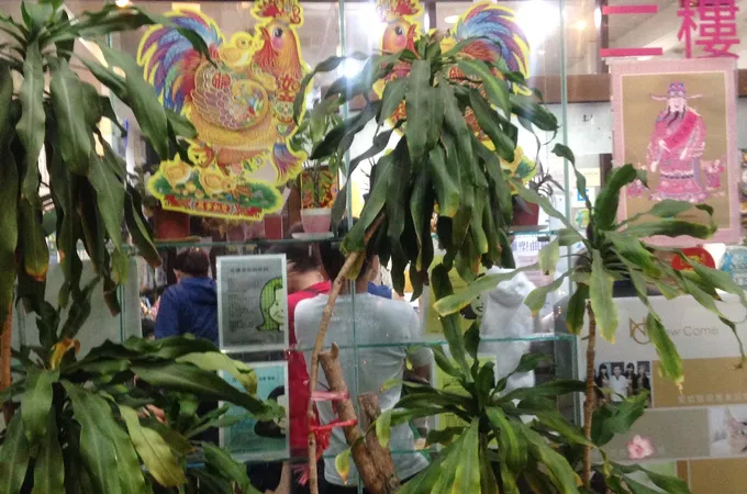 鄭地明皮膚科診所 照片