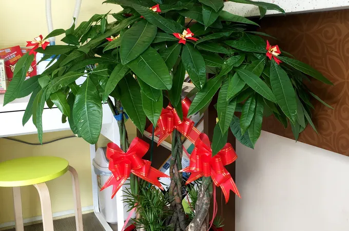 英和診所 照片 6