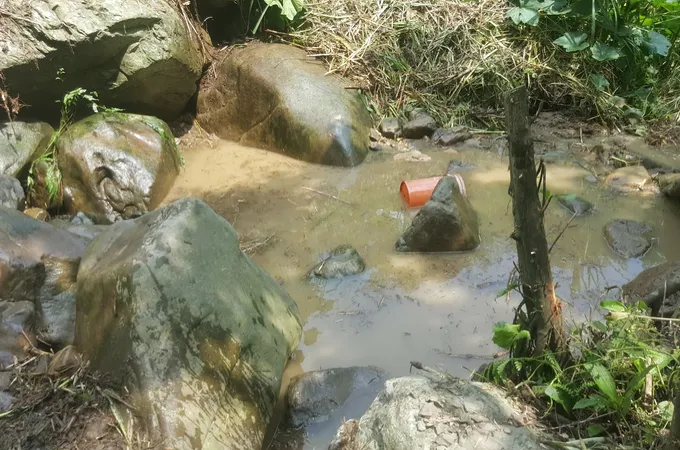 臺中市和平區衛生所 照片 2