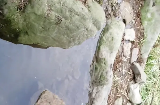 臺中市和平區衛生所 照片 4