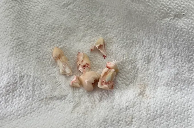 寬禾口腔顎面外科牙醫診所 照片
