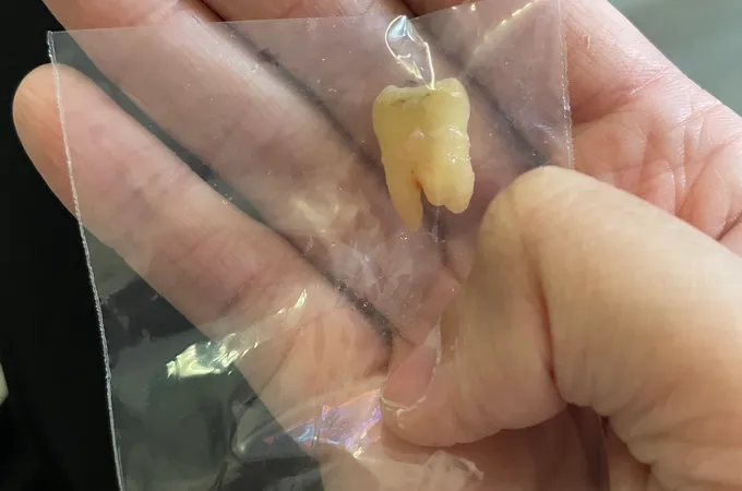 美邦牙醫診所 照片 8