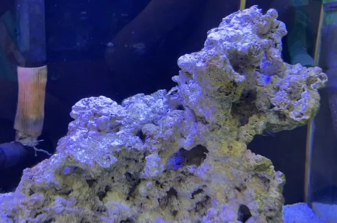 廖至杰耳鼻喉科診所 照片 4
