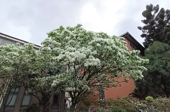 國立台灣大學保健中心 照片
