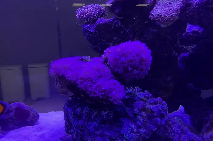 卓越美學牙醫診所 照片